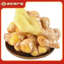 静益乐源 新鲜云南小黄姜  9斤装