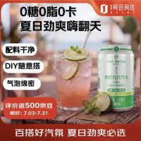 今日必买：1号会员店 青柠味苏打汽水 0卡0糖0卡 330ml*24罐整箱