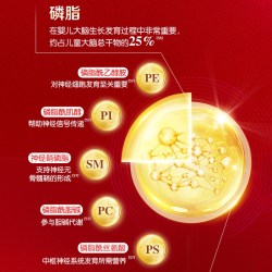 金领冠 伊利金领冠珍护铂萃2段6-12月婴幼儿奶粉750g