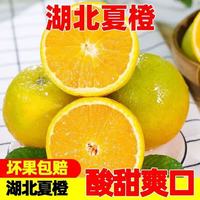 您家橙 湖北秭归夏橙 净重9斤130g