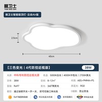 眼卫士 JP1XD0303861 吸顶灯 40CM 白色 38W
