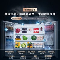 海信 大薄荷600Max轻享版十字冰箱四门双系统2.0嵌入家用