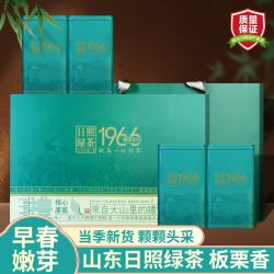 雪极春 绿茶 一级 200g