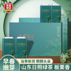 雪极春 日照绿茶2026新茶山东特产级茶叶礼盒高档送礼送老丈人礼盒装茶礼 头采好茶礼盒200g*1