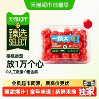 移动端、88VIP：一颗大 樱桃番茄 一级果 甄选礼盒