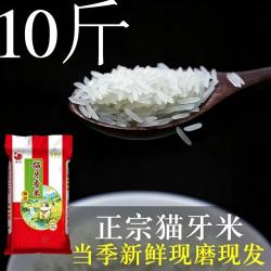 粮心妹 猫牙长粒香米 晚稻新米 10斤 袋装