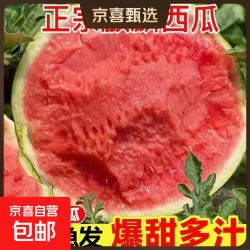 美都 麒麟西瓜 6-8斤