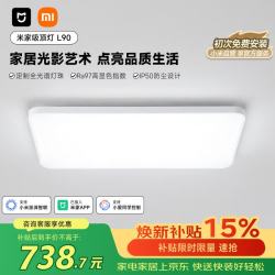 米家 吸顶灯 L90 智能控制 长方形现代客厅灯 小爱智能语音 115W