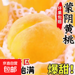山东蒙阴黄金桃子 125g-150g/单果 5斤装 净重4.5斤