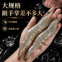 惜鲜 盐冻大虾 15-20只/斤 5斤装