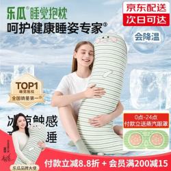乐瓜 凉感可拆洗 加大恐龙-冰凉款 长条抱枕