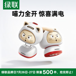 绿联 45W猫猫氮化镓充电器