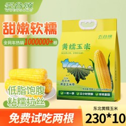 五谷颂 2025 年新采东北黄糯玉米棒 新鲜软糯香甜黏轻食真空早餐粗粮代餐