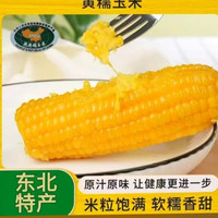 无品牌 吉林松原 黄糯玉米 240g 真空包装