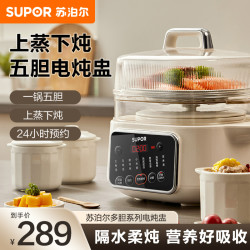 苏泊尔 电炖锅DZ25FC859