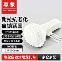 惠象 尼龙扎带 2.5*100mm 白色 100根
