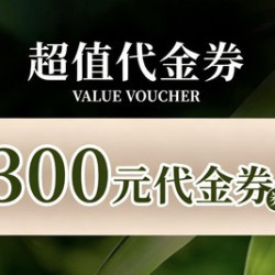 300元代金券|限1张