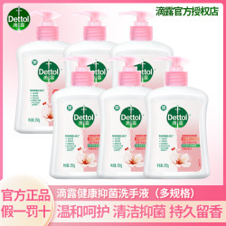 滴露 洗手液250g抑菌孩子大人可用家用囤货装抑菌清洁滋润护手正品