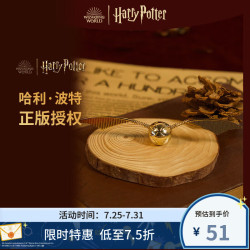 京东 哈利·波特 Harry Potter 金色飞贼冰箱贴 个性创意锌合金贴饰磁贴