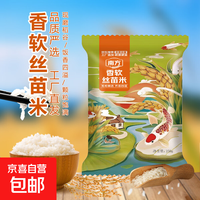 京喜 软香丝苗米 长粒香大米 250g