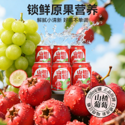 九日 山楂葡萄果肉果汁饮料238ml*10罐