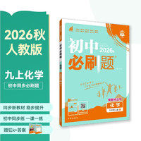 2027初中必刷题 化学九年级上册 人教版