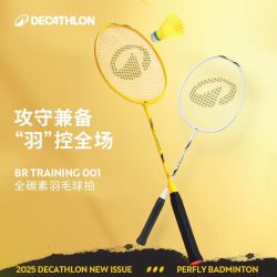 迪卡侬 羽毛球拍套装成人复合碳素超轻女生BRtraining001羽毛拍