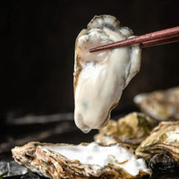 百鲜洽 乳山生蚝鲜活特大牡蛎带壳生吃海蛎子新鲜海鲜水产4XL净重5斤(约12-16只)