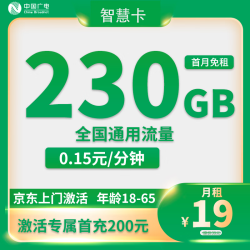 中国广电 广电卡 1年期19元 230G全国流量不限速