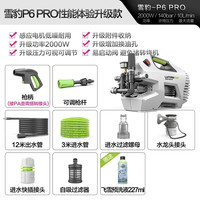 绿田 雪豹P6 PRO 洗车机 2000W