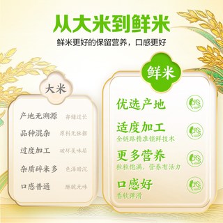 金龙鱼 稻谷鲜生6步鲜鲜牙香丝苗米 大米