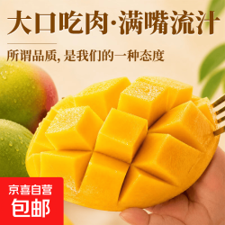 攀枝花凯特芒青黄皮时令新鲜采摘当季生熟两吃当季汁多肉厚无丝 带箱10斤净重9.5斤单果800g