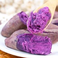 现挖新鲜沙地紫薯地瓜红薯蜜薯农家自种紫心健康蔬菜 沙地紫薯中小果(1-3两) 净重4.5斤