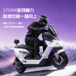 立马电动车 立马 征服者 72V38Ah 冰川银 电动摩托车