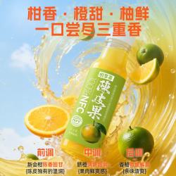 悦享客 陈皮果汁 100%果汁 整箱装