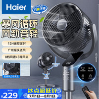 海尔 空气循环扇家用电风扇遥控大风量落地扇轻音 HFX-Y2365A