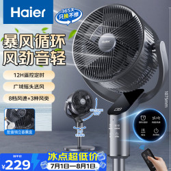 海尔 空气循环扇家用电风扇遥控大风量落地扇轻音 HFX-Y2365A