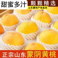 硕醴纪 山东蒙阴黄桃 净重4.5-5斤 精选单果2-3两