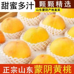 硕醴纪 山东蒙阴黄桃 净重4.5-5斤 精选单果2-3两