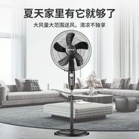 先锋 家用风扇摇头落地扇落地式立式电风扇风力FS40-16B 黑色