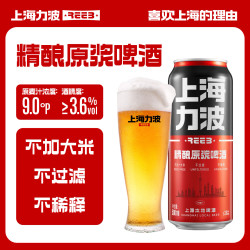 力波啤酒;REEB;R 全麦芽 精酿啤酒  红力波罐 500mL 6罐 组合装 红力波罐 整箱装