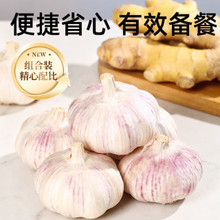金乡大蒜 山东紫皮蒜头生姜组合装 500g