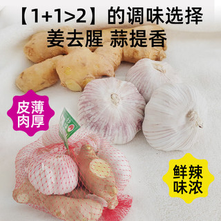金乡大蒜 山东紫皮蒜头生姜组合装 500g