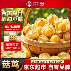 京觅 东北姑娘果 净重125g*2盒 灯笼果黄菇娘洋菇茑 去皮粒装 源头直发