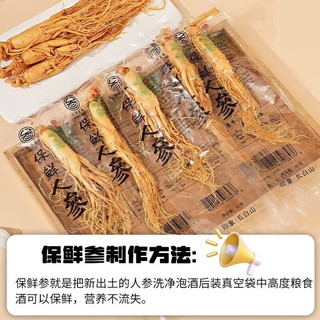 仙草至尊 长白山人参保鲜参 10-15g/支