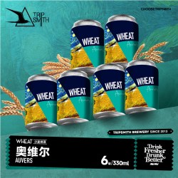 行匠 精酿啤酒 皮尔森浑浊IPA水果拉格果味德国小麦鲜啤