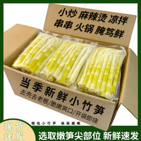 望田源 2026高山小竹笋新鲜春笋半加工脆嫩笋尖蔬菜火锅食材 鲜竹笋 500g*3袋