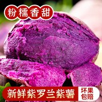 鲁禧海岸 新鲜蔬菜当季现挖 减脂粗粮 严选精品果 净重4.5斤