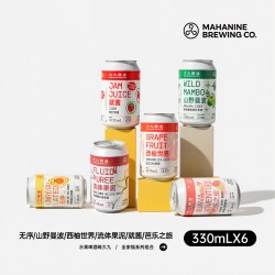 大九酿造 果泥西柚酸小麦 果啤精酿艾尔啤酒套装