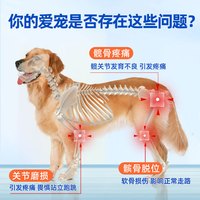 candypeti 德国Candypeti宠物姜黄软骨素狗狗关节宝宠物狗狗关节氨糖软骨素60粒